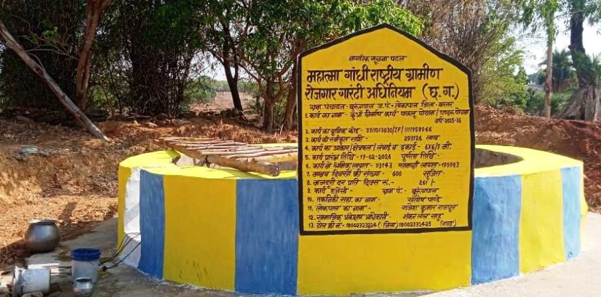 मनरेगा के कुएँ से नियमित सिंचाई कर लहलहा उठे तोकापाल के पाकलू पोयाम के खेत